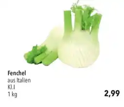 CITTI Markt Fenchel Angebot