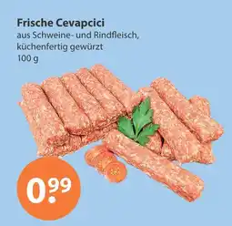 V Markt Frische cevapcici Angebot