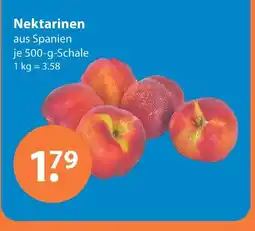 V Markt Nektarinen Angebot
