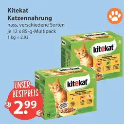 V Markt Kitekat katzennahrung Angebot