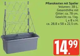Edeka Pflanzkasten mit Spalier Angebot