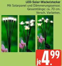 Edeka LED-Solar-Wackelstecker Angebot