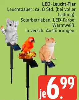 Edeka LED-Leucht-Tier Angebot