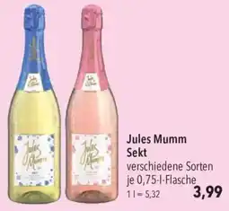 CITTI Markt Jules Mumm Sekt Angebot