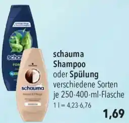 CITTI Markt schauma Shampoo oder Spülung Angebot