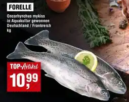 Handelshof FORELLE Angebot