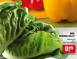 Handelshof MINI ROMANA-SALAT Angebot