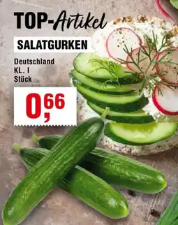 Handelshof SALATGURKEN Angebot