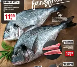Handelshof DORADE ROYAL Angebot