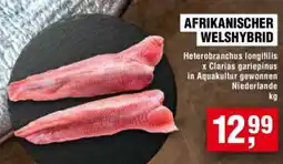 Handelshof AFRIKANISCHER WELSHYBRID Angebot