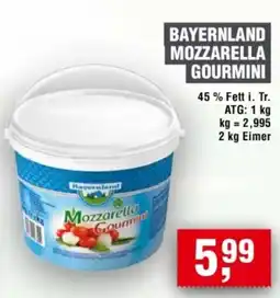 Handelshof BAYERNLAND MOZZARELLA GOURMINI Angebot
