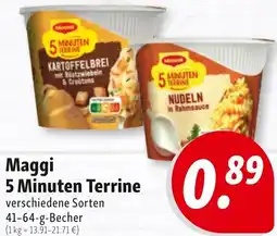 Nah & Frisch Maggi 5 Minuten Terrine Angebot