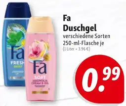 Nah & Frisch Fa Duschgel Angebot