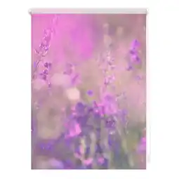 Netto Marken-Discount Lichtblick Rollo Klemmfix, ohne Bohren, Verdunkelung, Blumenwiese - Fuchsia Violett Angebot
