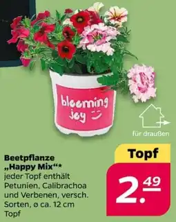 NETTO Beetpflanze ,,Happy Mix" Angebot