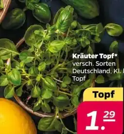NETTO Kräuter Topf Angebot