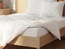 Lidl EMMA Sommer-Steppbett Aloe Vera Angebot