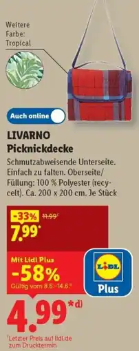Lidl LIVARNO Picknickdecke Angebot