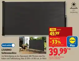 Lidl LIVARNO Seitenmarkise Angebot