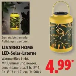 Lidl LIVARNO HOME LED-Solar-Laterne Angebot