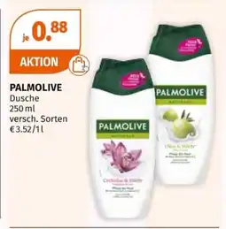 Müller PALMOLIVE Dusche Angebot