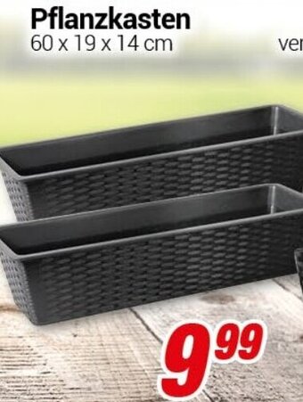 CENTERSHOP Pflanzkasten Angebot