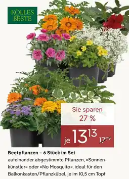 Pflanzen Kölle Kölles beste beetpflanzen - 6 stück im set Angebot