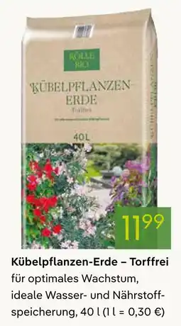 Pflanzen Kölle Kübelpflanzen-erde – torffrei Angebot