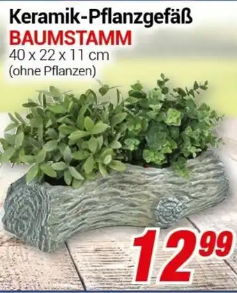 CENTERSHOP Keramik Pflanzgefäß Baumstamm Angebot