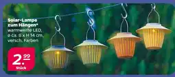 NETTO Solar-lampe zum hängen Angebot