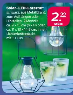 NETTO Solar-led-laterne Angebot