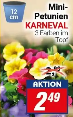 CENTERSHOP Mini Petunien KARNEVAL Angebot