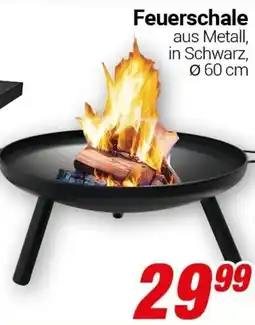 CENTERSHOP Feuerschale Angebot