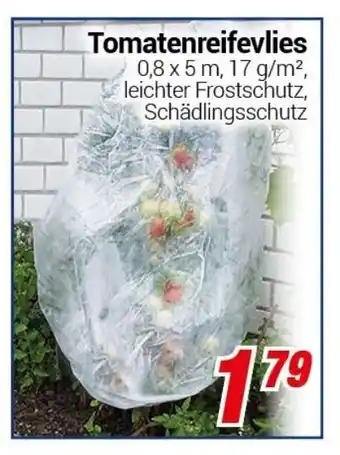 CENTERSHOP Tomatenreifevlies Angebot