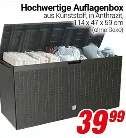 CENTERSHOP Hochwertige Auflagenbox Angebot