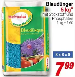 CENTERSHOP schola Blaudünger Angebot