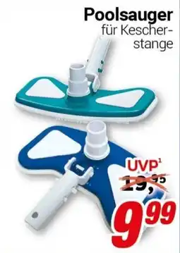 CENTERSHOP Poolsauger Angebot