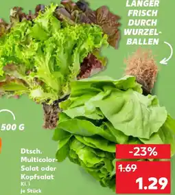 Kaufland Dtsch. Multicolor- Salat oder Kopfsalat Angebot