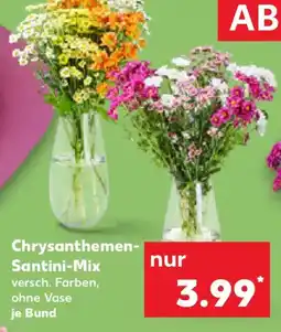 Kaufland Chrysanthemen- Santini-Mix Angebot