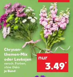 Kaufland Chrysanthemen-Mix oder Levkojen Angebot