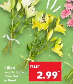 Kaufland Lilien Angebot