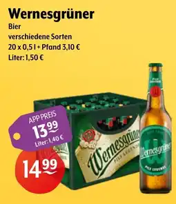 Getränke Hoffmann Wernesgrüner Bier Angebot