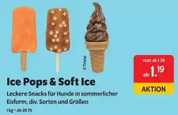 Das Futterhaus Trixie Ice Pops & Soft Ice Angebot