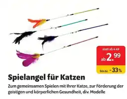 Das Futterhaus Spielangel für Katzen Angebot