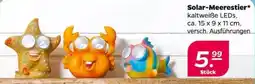 NETTO Solar-Meerestier Angebot