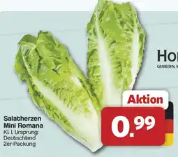 Famila Nord West Salatherzen Mini Romana Angebot