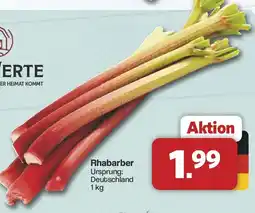 Famila Nord West Rhabarber Angebot