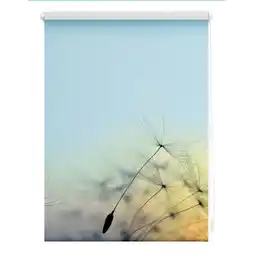 Netto Marken-Discount Lichtblick Rollo Klemmfix, ohne Bohren, Verdunkelung, Pusteblume - Blau Angebot