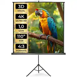 Netto Marken-Discount tectake Beamer-Leinwand, ausziehbar, verschiedene Formate, Doppelschicht-Gewebetuch, faltenfrei Angebot