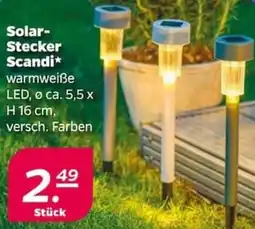 NETTO Solar Stecker Scandi Angebot